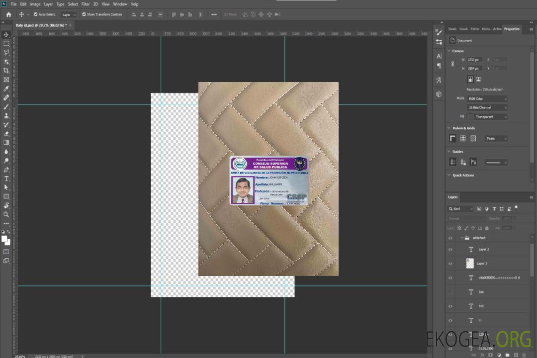 Conseil de santé publique du Salvador (consejo upper de salud pública) photolook FRONT template